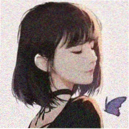 罗宾 海贼王考古学家